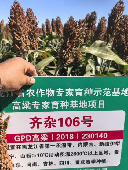 QQ截图20241202143240.png